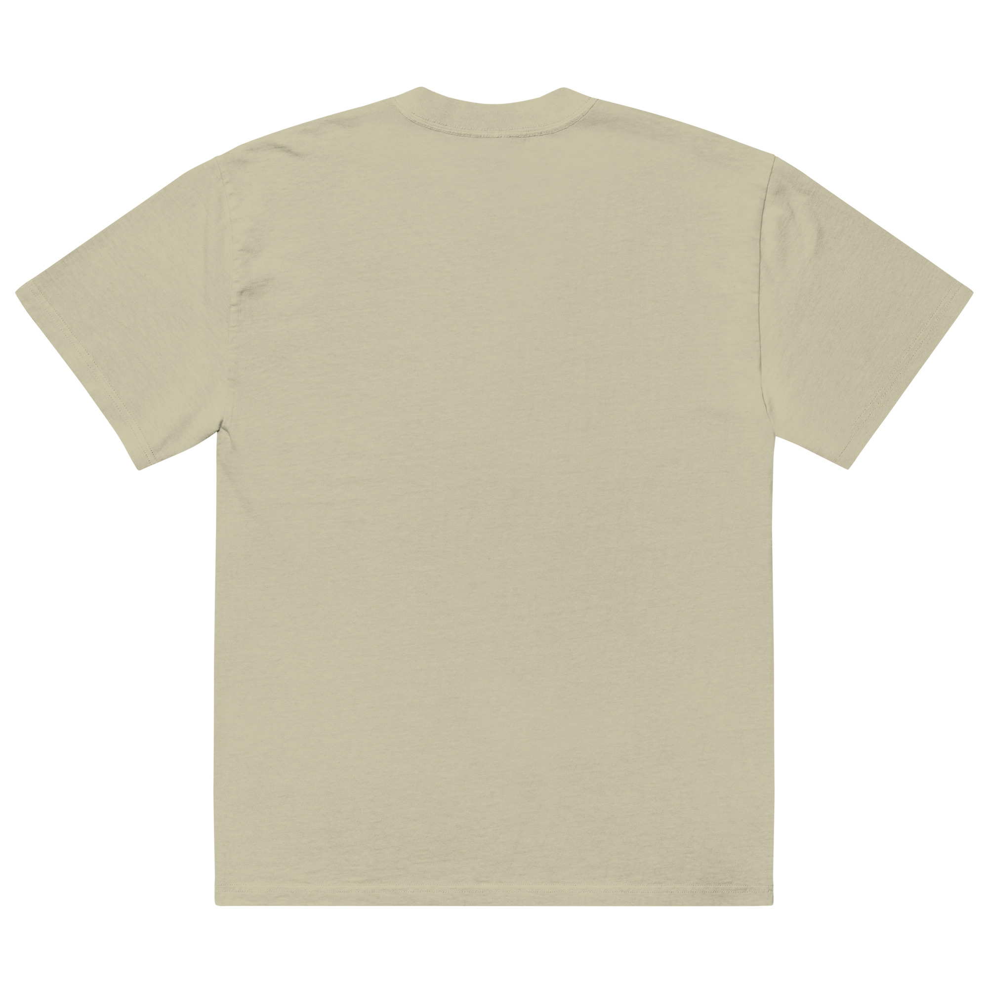 oversized-faded-t-shirt-faded-eucalyptus-back-68fed5db10ea3.jpg